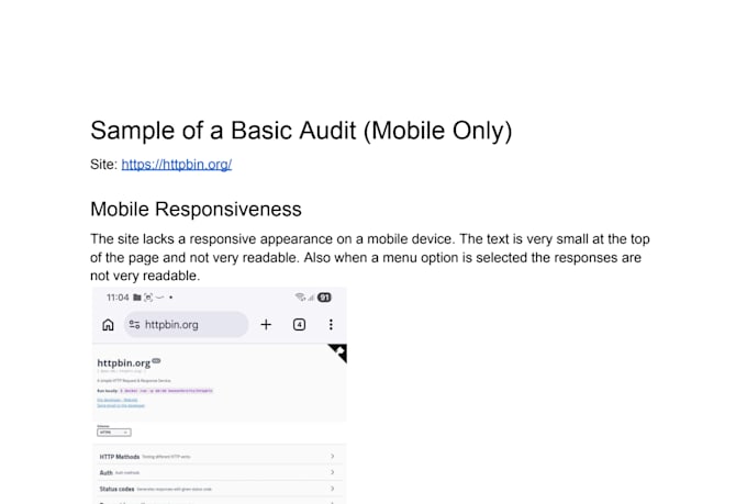 provide a website audit for five dollars